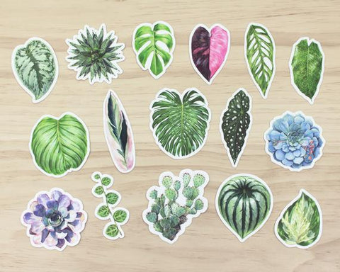 Aaron Plant Stickers
