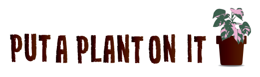 Put a Plant On It