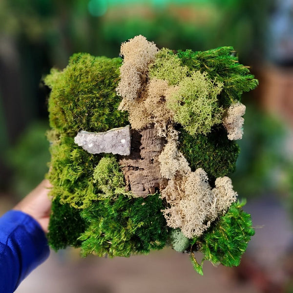 Moss Art Class on Sept 16 at West Side Bazaar