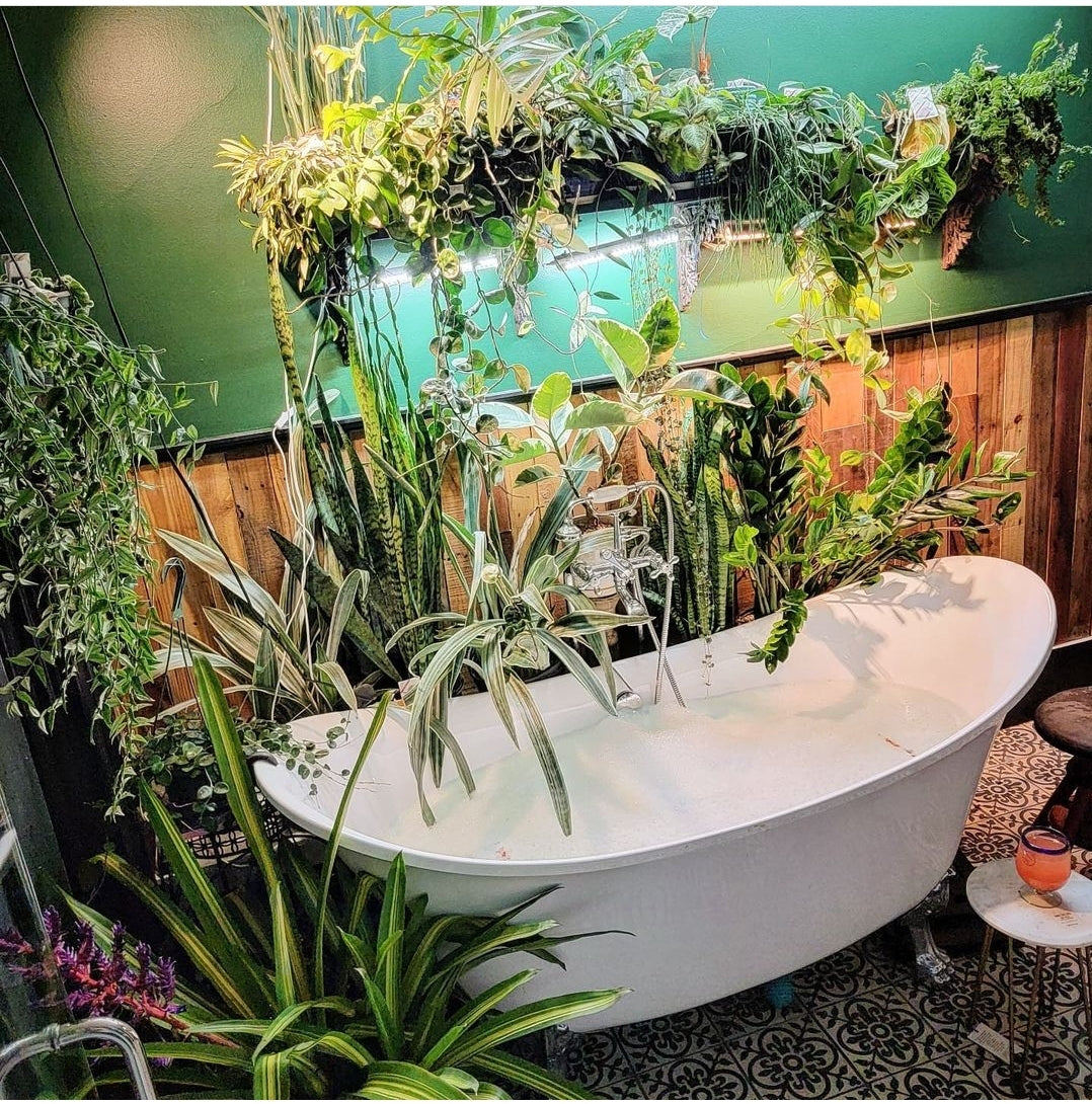 Plantscaping