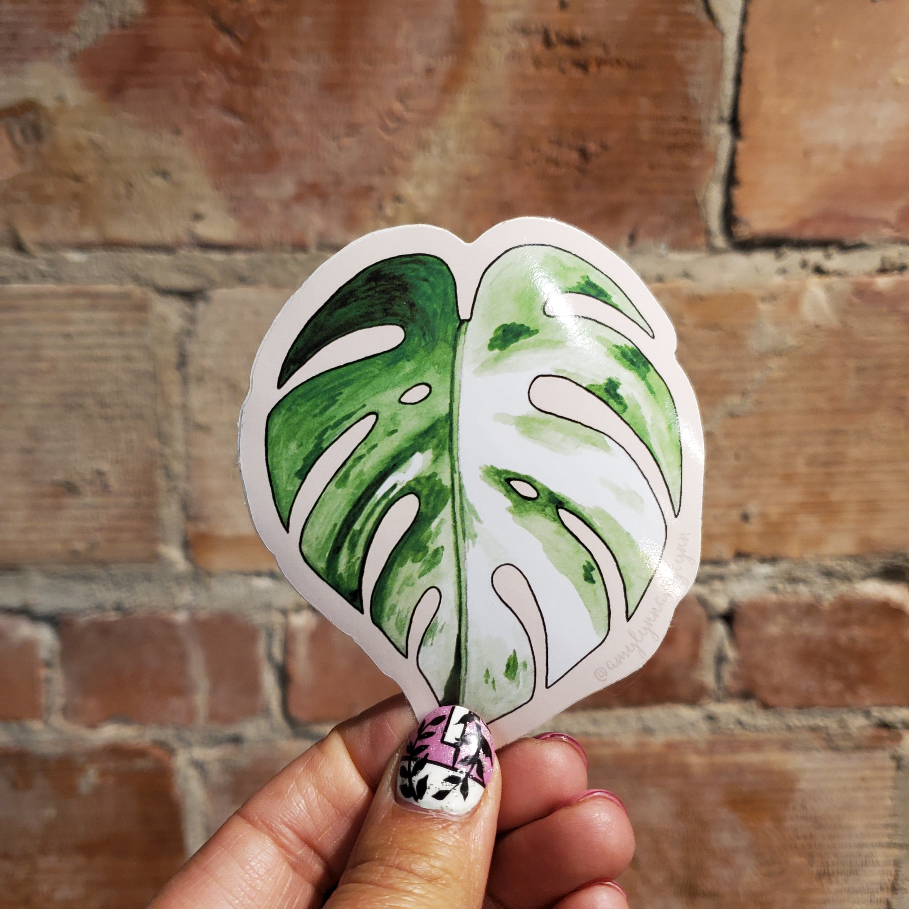 monstera sticker Albo Monstera Sticker