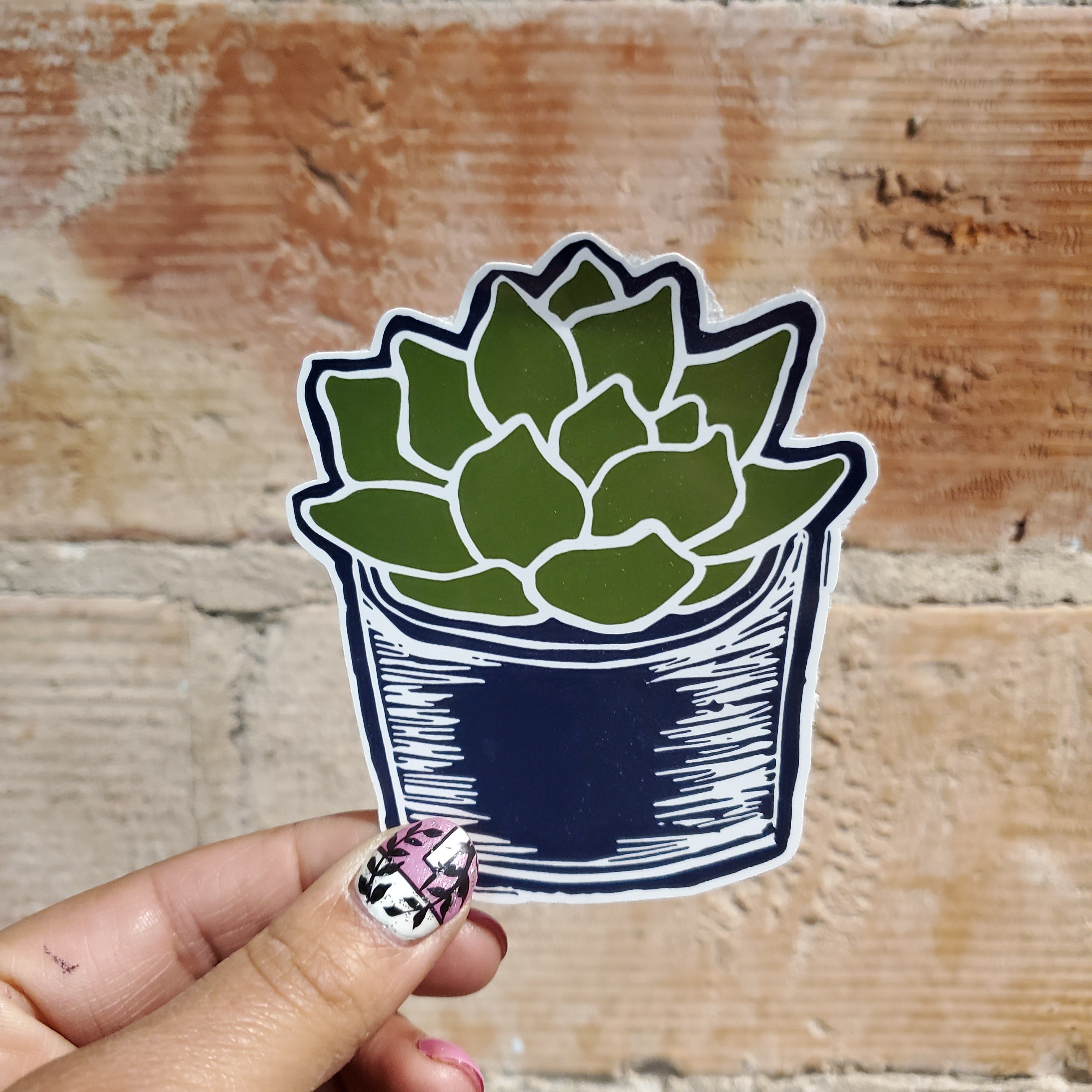 succulent decal Succulent Sticker